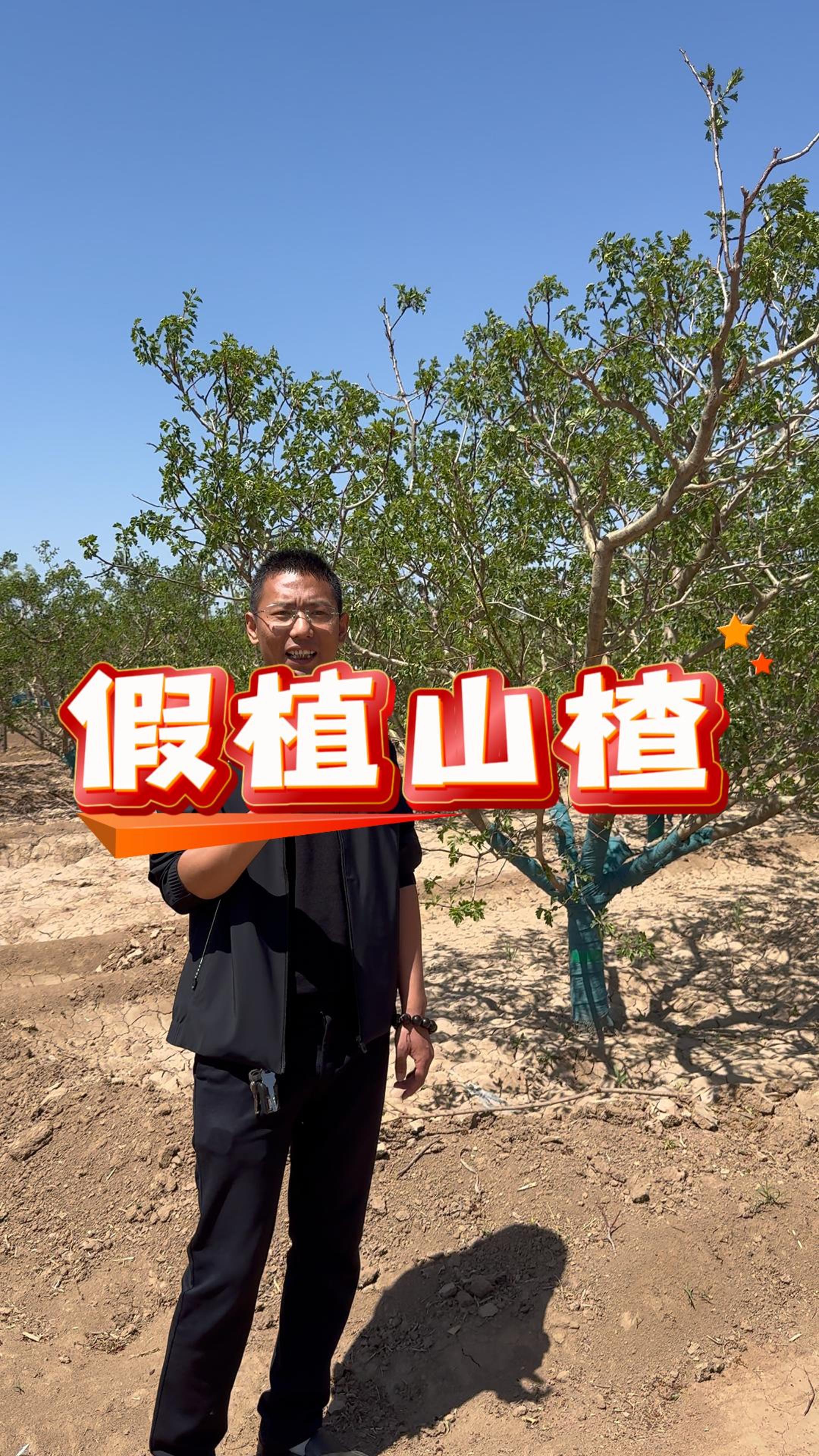 如何从宏观角度看待园林行业的二次深耕